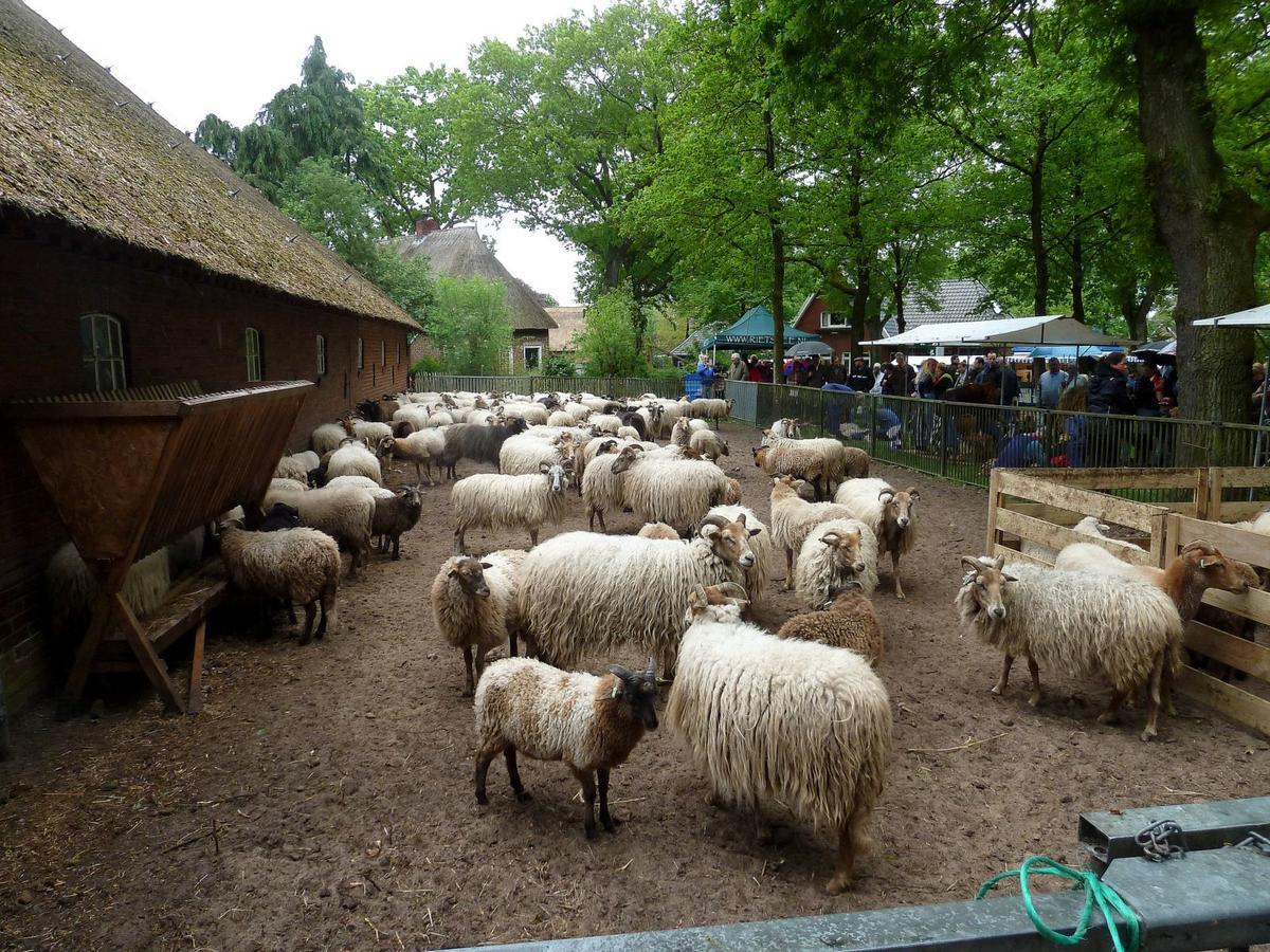 Wapen Van Эксло Экстерьер фото